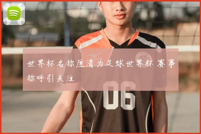 世界杯名称厘清为足球世界杯 赛事称呼引关注