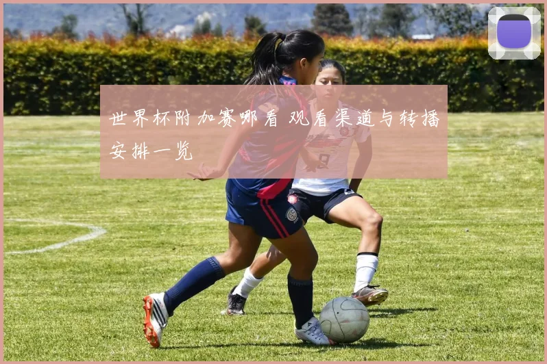 世界杯附加赛哪看 观看渠道与转播安排一览