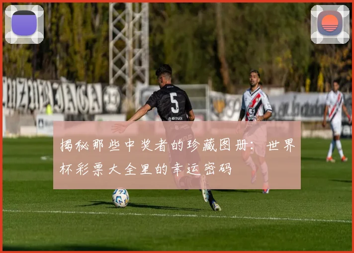 揭秘那些中奖者的珍藏图册:世界杯彩票大全里的幸运密码