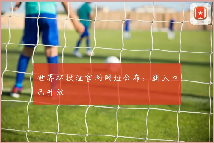世界杯投注官网网址公布，新入口已开放