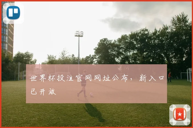 世界杯投注官网网址公布，新入口已开放