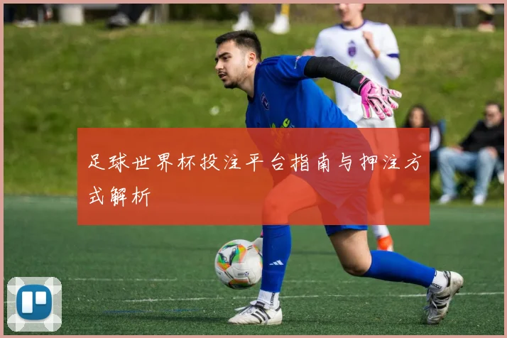 足球世界杯投注平台指南与押注方式解析