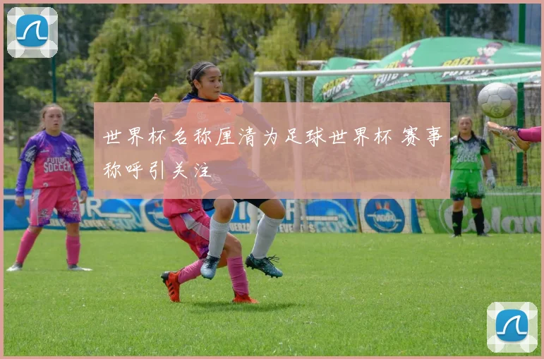 世界杯名称厘清为足球世界杯 赛事称呼引关注