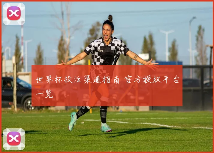 世界杯投注渠道指南 官方授权平台一览