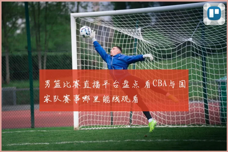 男篮比赛直播平台盘点 看CBA与国家队赛事哪里能线观看
