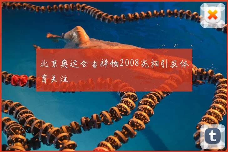 北京奥运会吉祥物2008亮相引发体育关注
