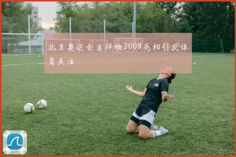 北京奥运会吉祥物2008亮相引发体育关注