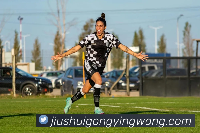 华体会综合体育登录平台生态图